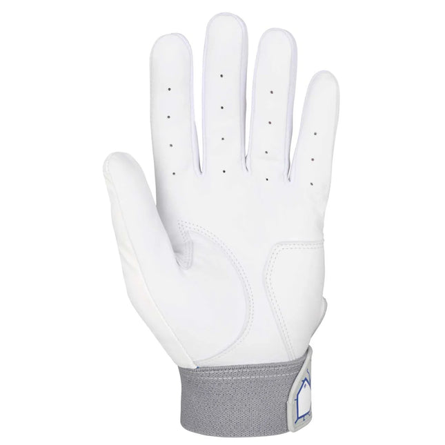 Mizuno 2026 MVP Youth Batting Gloves 330462