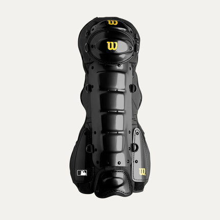 Pro Gold 2 Leg Guards