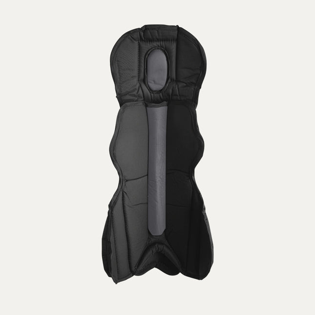 Pro Gold 2 Leg Guards