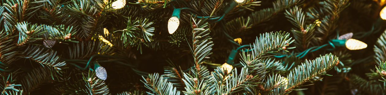 <h2>Days left to order</h2>