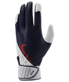 Gants de frappe Nike Alpha Adulte