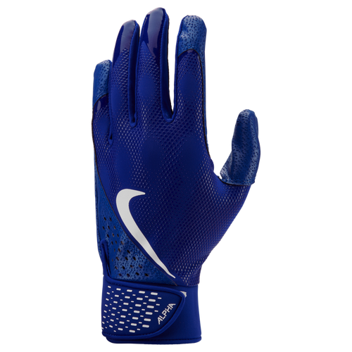 Gants de frappe Nike Alpha Adulte