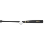 EASTON PRO STIX TRAINING SET