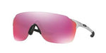 Oakley EVZERO Stride Silver 93860438